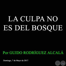 LA CULPA NO ES DEL BOSQUE - Por GUIDO RODRÍGUEZ ALCALÁ - Domingo, 7 de Mayo de 2017